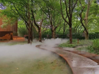 老靈額!中山公園這三處景點宛若仙境…… 老靈額!中山公園這三處景點宛若仙境……