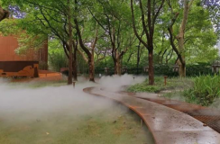 老靈額!中山公園這三處景點宛若仙境…… 老靈額!中山公園這三處景點宛若仙境……