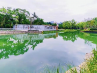 闊別8年，中山公園這里1.3萬平方米的景點升級后重新開放啦！