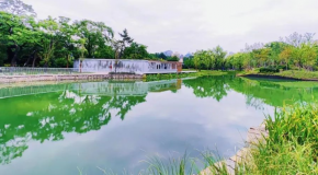 闊別8年，中山公園這里1.3萬平方米的景點升級后重新開放啦！