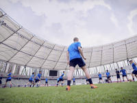 大樹下新媒體創意產業園：企業在“大樹下”欣欣向榮丨上海文創園區巡禮·閔行文創故事