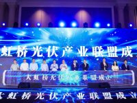 ?200多家新能源企業共聚一堂！“大虹橋”正在培育一個全新產業集群…