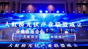 ?200多家新能源企業共聚一堂！“大虹橋”正在培育一個全新產業集群…