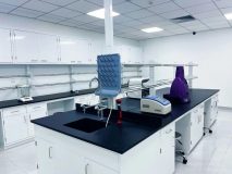 助力生物醫藥產業發展，希諾谷布局外高橋