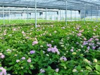 木雕、陶藝、藝術展…上海最早的私營經濟小區地塊上，老舊廠區轉型文創產業園