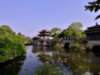 黃浦江畔,這個有“上海之本”之稱的鎮,有底蘊、更“好白相”! 黃浦江畔,這個有“上海之本”之稱的鎮,有底蘊、更“好白相”!