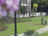 建設口袋公園，更新城市面貌迎進博