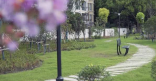 建設口袋公園,更新城市面貌迎進博 建設口袋公園,更新城市面貌迎進博