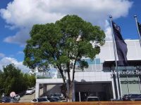 上海，外環高速邊一條1公里馬路，何以成為億元名車坊?