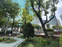 虹橋開發區再添一抹新綠，這處口袋公園“麻雀雖小”卻有270余種植物