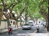 網紅店多流量大、老舊房屋不成套、歷史建筑多，市中心風貌區遇治理煩惱…