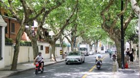 網紅店多流量大、老舊房屋不成套、歷史建筑多,市中心風貌區遇治理煩惱… 網紅店多流量大、老舊房屋不成套、歷史建筑多,市中心風貌區遇治理煩惱…