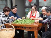 市區老人到鄉村“做客”式養老?滬郊這個地方出現一種新社區模式 市區老人到鄉村“做客”式養老?滬郊這個地方出現一種新社區模式