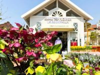 除了樹、草坪和凳子還能有什么？上海45座公園已“變身”