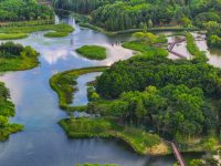 上海15年精做一根“項鏈”,卻在多處給生生不息“留白” 上海15年精做一根“項鏈”,卻在多處給生生不息“留白”