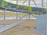 來楊浦濱江，在城市空間藝術里感受“共育相生”