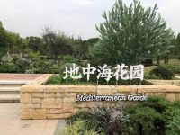 上海植物園新建北區本周四即將亮相！藍白色調地中海花園里賞特色植物，水上花園里，荷花盛開…