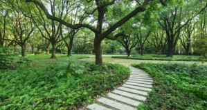 來楊浦這個“秘境花園”,在綠意中感受靜謐 來楊浦這個“秘境花園”,在綠意中感受靜謐