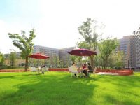 最小戶型33平方米“五臟俱全”，南虹橋區域已有7千余套人才公寓投入使用