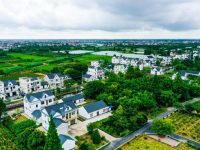 鄉村振興示范村,“盆景”如何變“苗圃”? 鄉村振興示范村,“盆景”如何變“苗圃”?