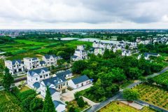 鄉村振興示范村，“盆景”如何變“苗圃”？