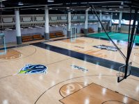 地下面積近4萬平方米的寶藏公園來了！還有虹橋機場邊的“綠野仙蹤”