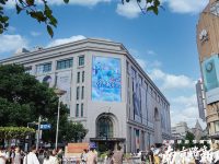 南京路如何逛？三條新打卡路線，帶你領略不一樣的風光