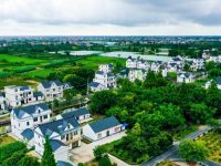 ?2億元！上海這個鎮靠侍弄花草實現高產出，“特色農產品”做成了商品