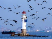 上海首個！寶山區概念驗證中心管理辦法發布，助力科技成果踏出“最初一步”