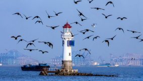 上海首個!寶山區概念驗證中心管理辦法發布,助力科技成果踏出“最初一步” 上海首個!寶山區概念驗證中心管理辦法發布,助力科技成果踏出“最初一步”