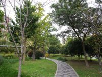“中心綠地、生態廊道、口袋公園……”徐涇鎮生態空間“滿目青綠”
