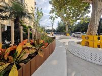 新涇鎮的“中軸線”，越來越美！