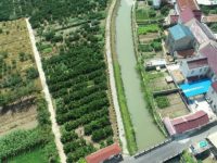 水系“毛細血管”連線成網,崇明長興鎮通過小流域治水提升蓄水排澇能力 水系“毛細血管”連線成網,崇明長興鎮通過小流域治水提升蓄水排澇能力