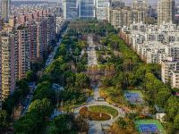 2023年世界城市日論壇走進普陀，聚焦城市社會治理創新和可持續發展