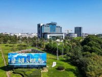 上海金山：如何讓科技創新這個“關鍵變量”成為轉型塑形的“最大增量”？