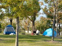 來滬找工作,竟在公園住了一個月帳篷,在南上海這座“公園城市”為何可行? 來滬找工作,竟在公園住了一個月帳篷,在南上海這座“公園城市”為何可行?