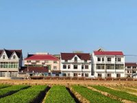 推進環境綜合整治，打造“美麗老港”新名片