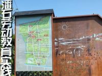 如何把“新流量”引入鄉村？崇明這個村有了新嘗試