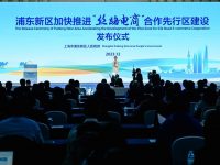 浦東推出系列措施，加快建設“絲路電商”合作先行區中心功能區