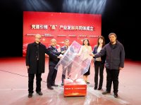 上海最年輕市級產業園，新型顯示產業鏈集聚30余個項目，總投資超500億元