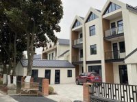 緊鄰國際氫能谷，上海這個偏僻小村能承接產業“紅利”嗎