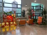 光華璀璨百米巨龍亮相上海歡樂谷，點燃新春國潮年味