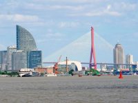 楊浦首發數據資產增信模型，賦能新質生產力